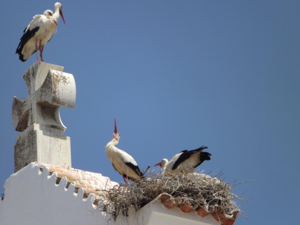 Entrecubos Guesthouse Olhao Bagian luar foto