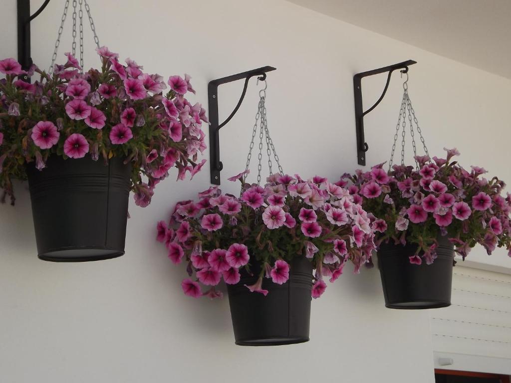 Entrecubos Guesthouse Olhao Ruang foto
